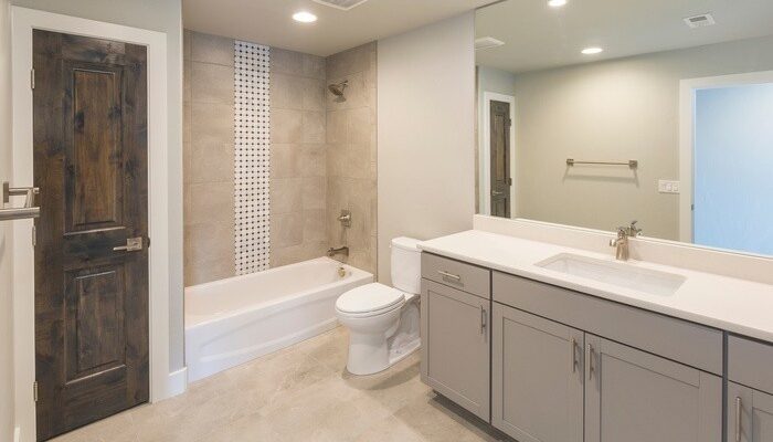 Luxury Modern Remodeled Bathroom